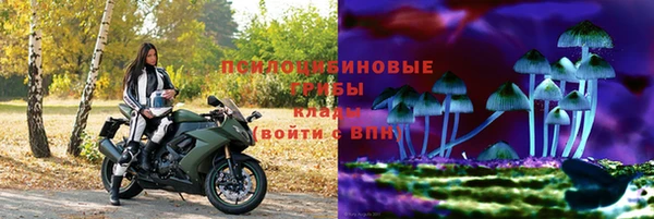 2c-b Усмань