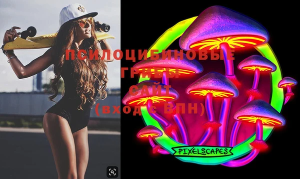 хмурый Верхний Тагил