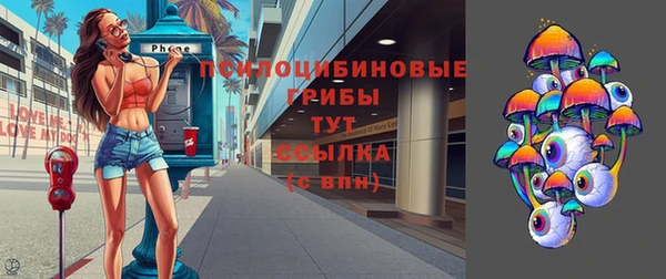 прущие грибы Бронницы